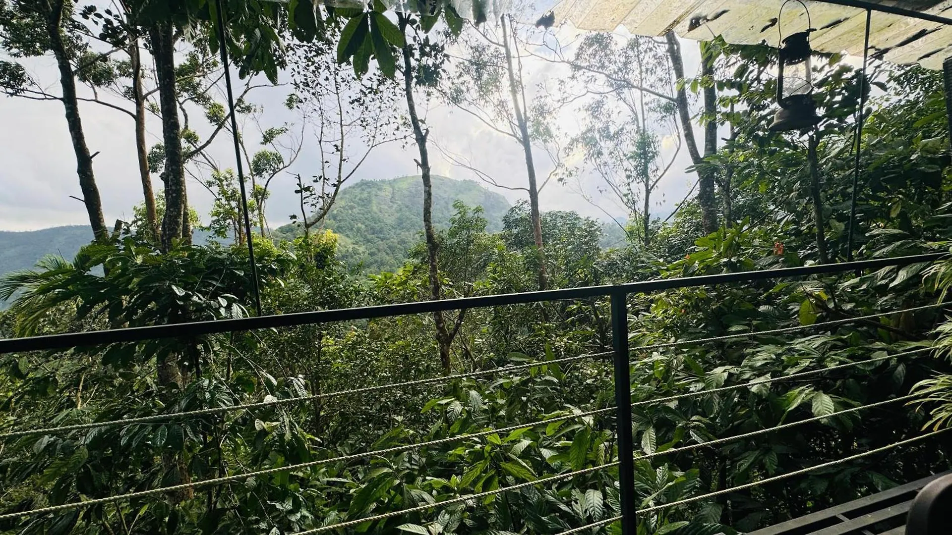 Camping In Adimaly Anniyar Thozu Luxury tent