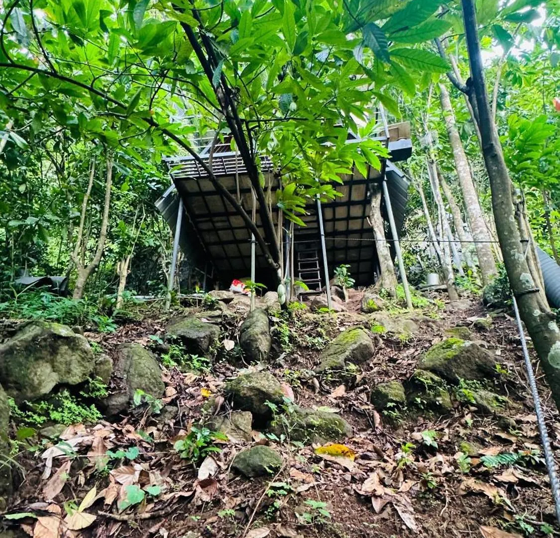 Camping In Adimaly Anniyar Thozu 0*,
