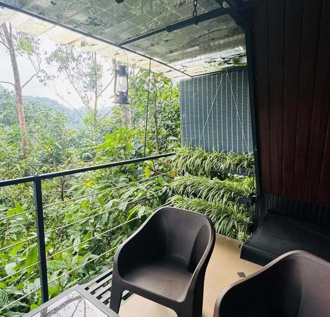 Camping In Adimaly Anniyar Thozu Luxury tent
