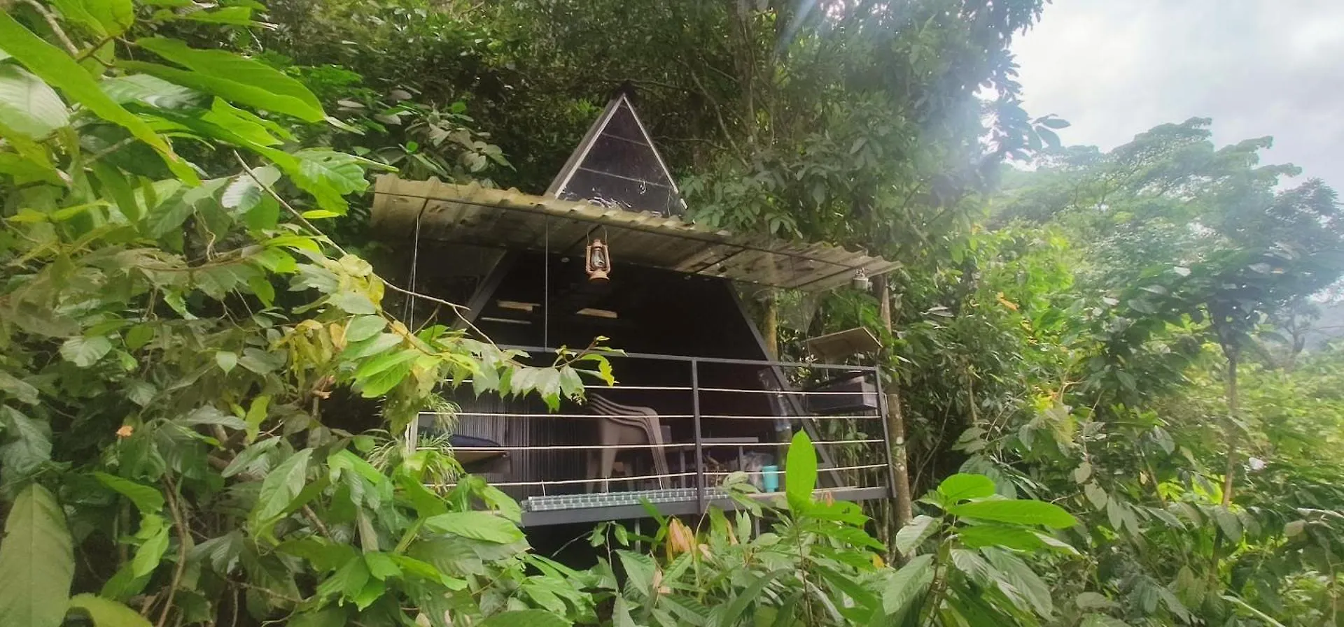 Camping In Adimaly Anniyar Thozu